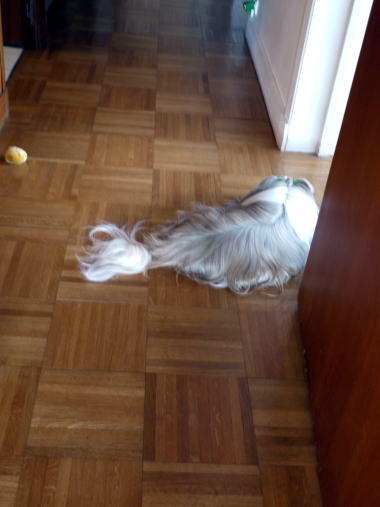 c0090198_752672.jpg