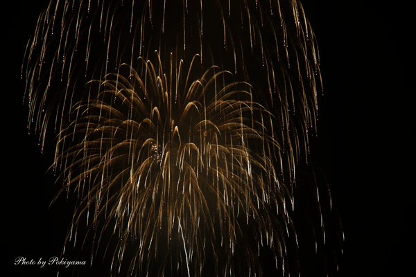 e0153701_21553838.gif