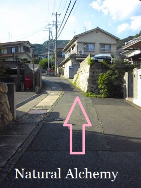 c0098304_1755205.jpg