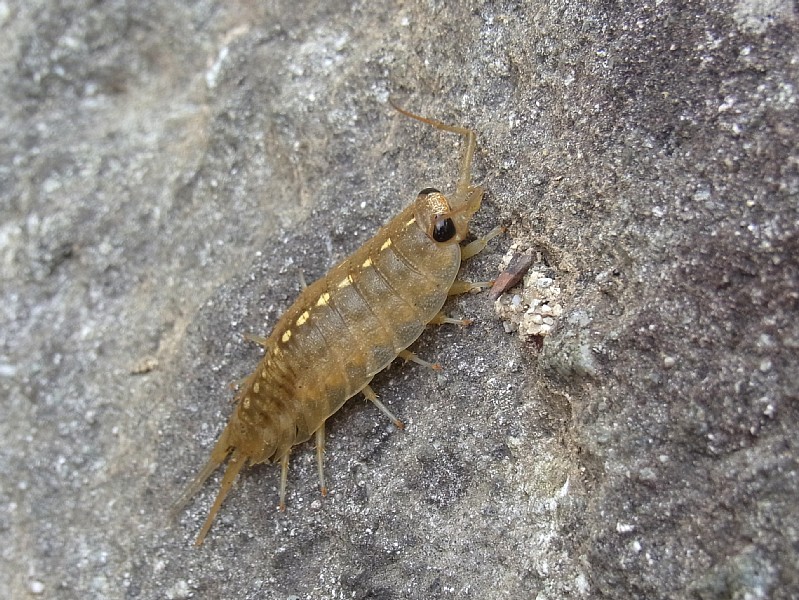 d0010008_14924.jpg