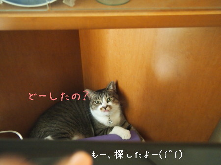 b0042310_05891.jpg