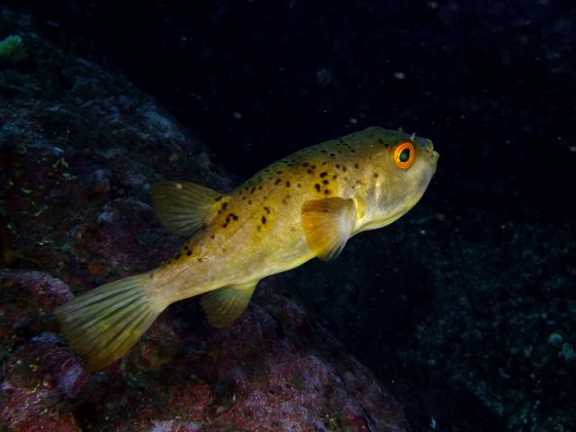 d0175710_1027952.jpg