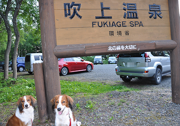 北海道犬連れ旅行記2012　2日目～富良野へ_d0079912_23234562.jpg