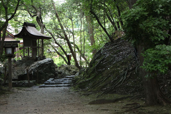 上賀茂神社　朝参拝_e0048413_22551076.jpg