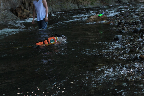 c0220715_8162035.jpg