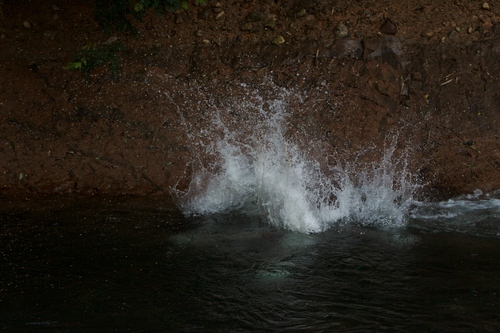 c0220715_8191569.jpg