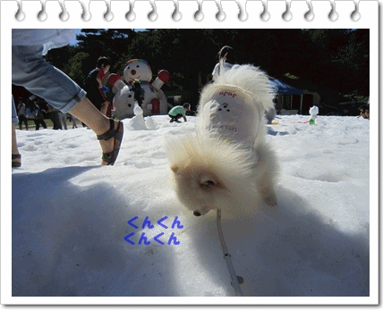 b0167519_20505579.gif