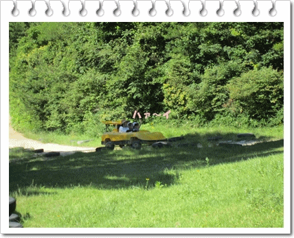 b0167519_2057175.gif