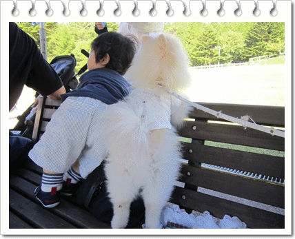 b0167519_2161885.gif