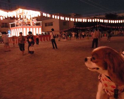 近所の夏祭りにおでかけ_f0214121_8403741.jpg