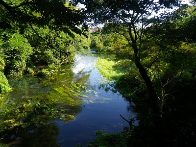 e0151623_9593531.jpg