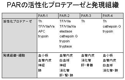 敗血症性DICの病態（１）～凝固系カスケードと組織因子・Thrombin～_e0255123_16251039.jpg