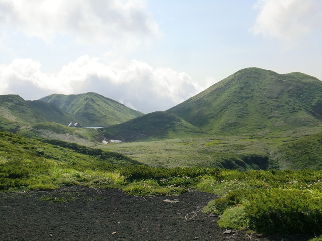 d0130927_8471742.jpg