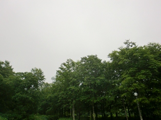 d0130927_9174420.jpg