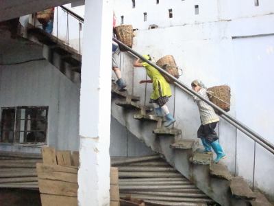d0254827_11392089.png