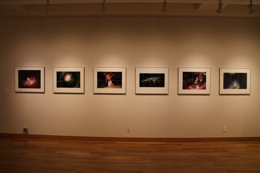 第28回東川賞受賞作家展_b0187229_15435893.jpg