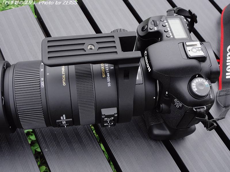 SIGMA APO 50-500mm F4.5-6.3 DG OS HSM : 四季彩の部屋 SIGMA APO 50-500mm F4.5-6.3 DG OS HSM : 四季彩の部屋