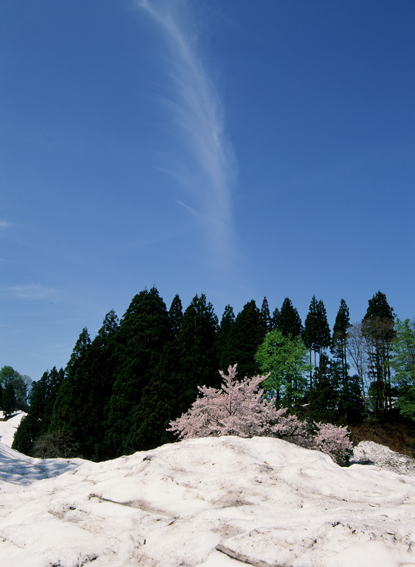 辰野 清さんと訪ねる越後路、春色あふれる松之山へ【WEB講評会】_b0199137_20275931.jpg