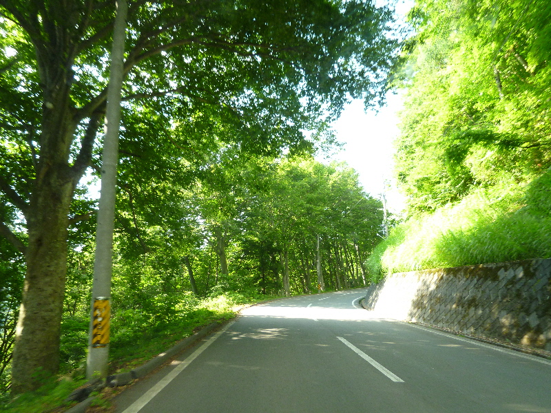 b0185245_2931.jpg