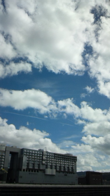 f0073848_8442918.jpg