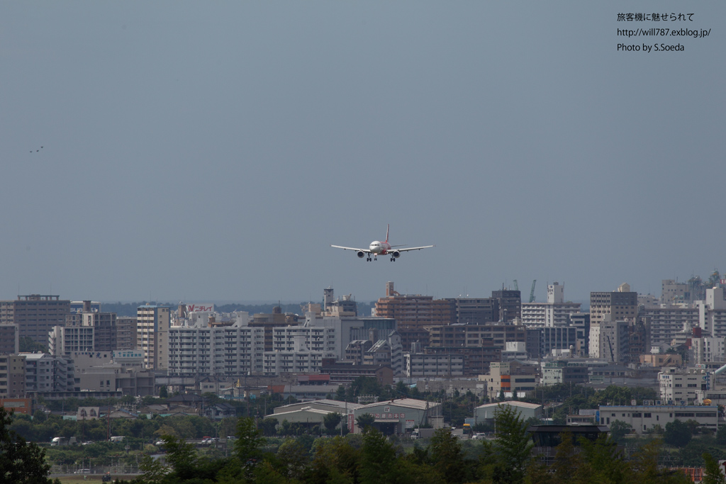 8/4 エアアジア・ジャパンを追っかけて@福岡空港_d0242350_9203458.jpg