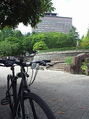 a0096557_176478.jpg