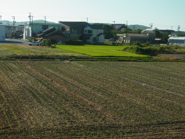 b0194267_20111782.jpg