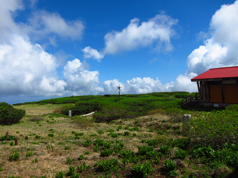 f0202271_08346.jpg