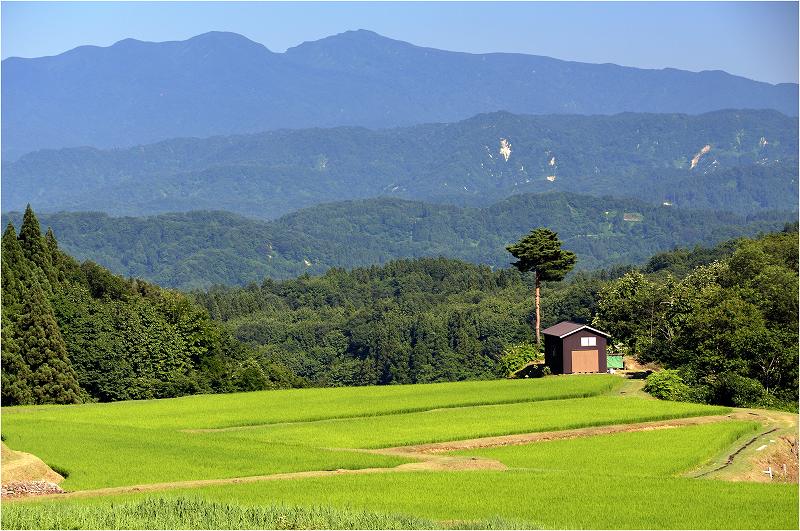 定点撮影　（栃尾　軽井沢）_a0079473_11384460.jpg