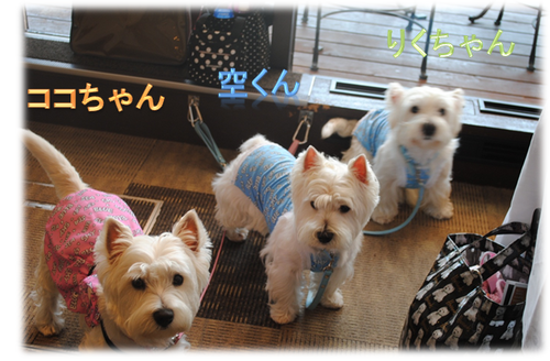 b0242873_23373638.png