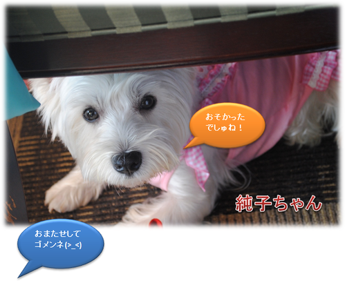 b0242873_23375029.png