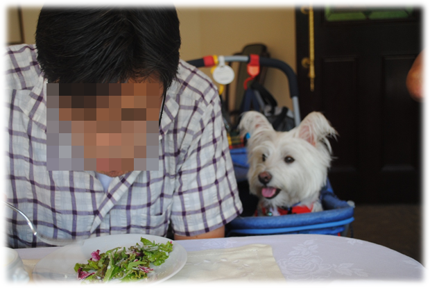 b0242873_23385121.png