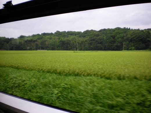 真夏の中国地方ローカル線7 (芸備線)_b0005281_14403595.jpg
