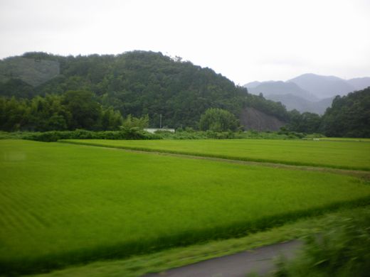 真夏の中国地方ローカル線7 (芸備線)_b0005281_14435167.jpg