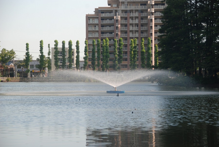 c0187781_8231412.jpg