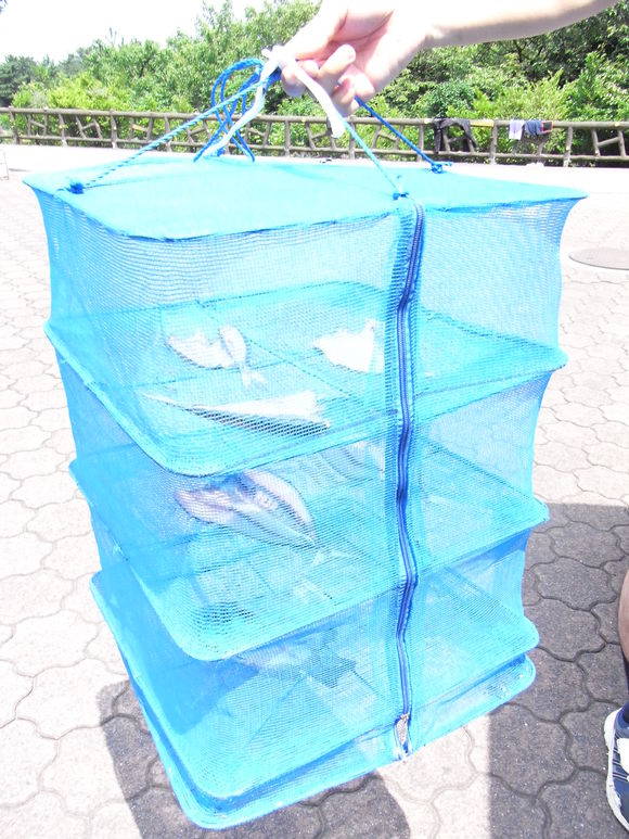 伊豆大島お魚の旅 120728~29_c0237483_1283837.jpg