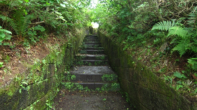 a0242984_19132915.jpg