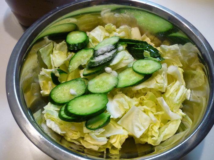 菜漬器 浅漬け名人 おうち大好き