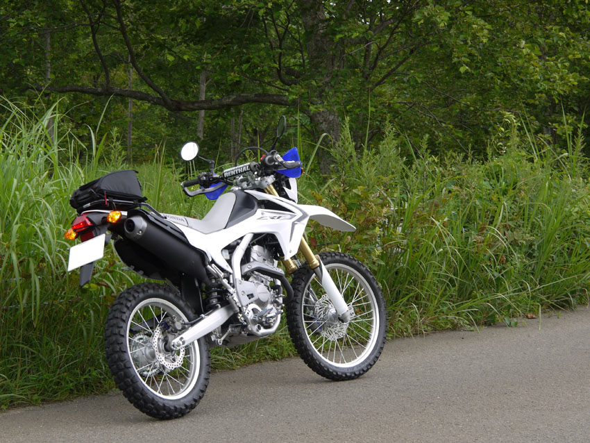 エルフ「シンテーゼ14」 : 風とバイクと俺と。