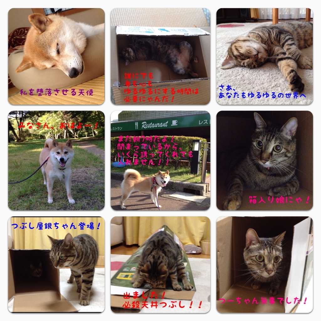 憧れの人_a0126590_11204538.jpg
