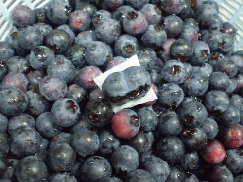 a0135990_22224437.jpg