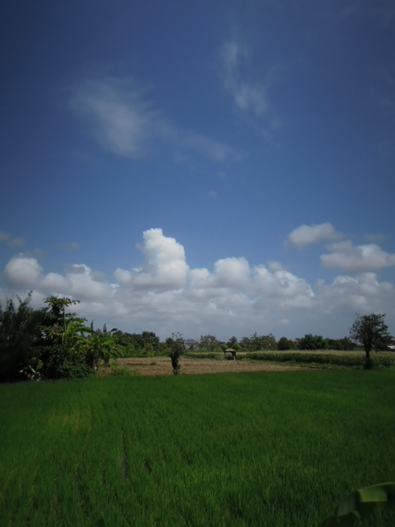 a0200190_13303570.jpg