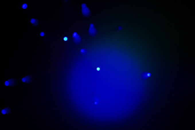 b0159790_66478.jpg