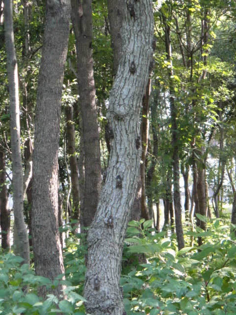 a0275492_2273455.jpg