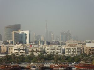 d0004195_15279.jpg