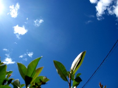 a0040103_11224425.jpg