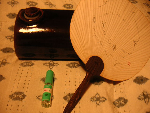 真夏の夜の三種の神器_a0056406_172869.jpg