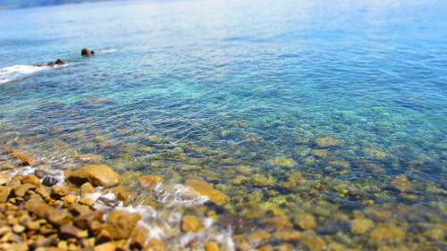d0240207_0461325.jpg
