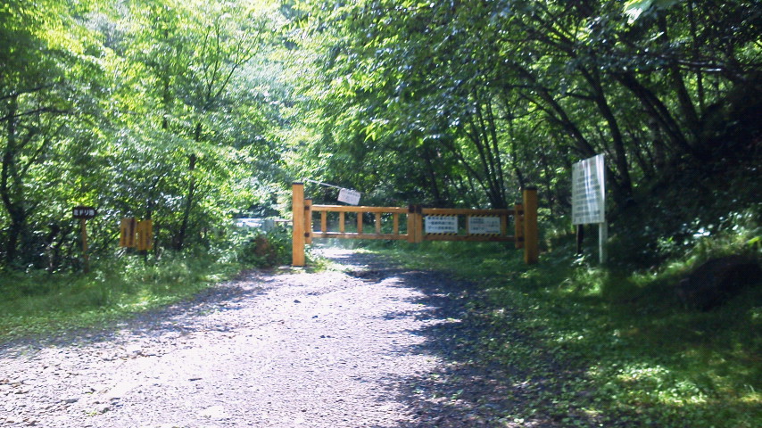 初めてのソロ登山②　八ヶ岳（稲子湯-天狗岳-渋の湯）_c0242108_225105.jpg