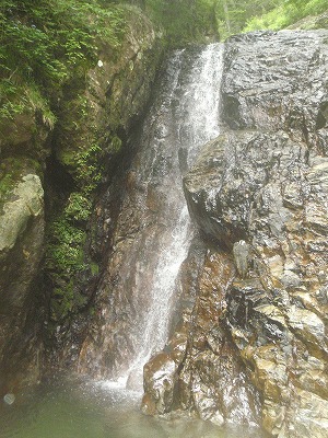 d0264710_1554728.jpg